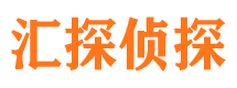 卢龙寻人公司